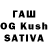 A PVP СК Segasi dog