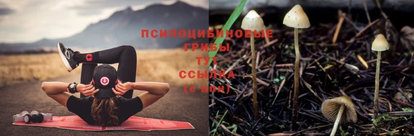 амф Каменск-Шахтинский