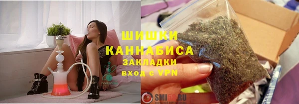 ГАЛЛЮЦИНОГЕННЫЕ ГРИБЫ Каменногорск