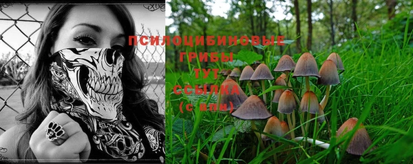 ECSTASY Каменка