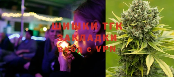 ГАЛЛЮЦИНОГЕННЫЕ ГРИБЫ Каменногорск