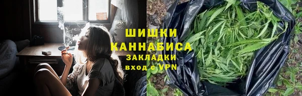ГАЛЛЮЦИНОГЕННЫЕ ГРИБЫ Каменногорск
