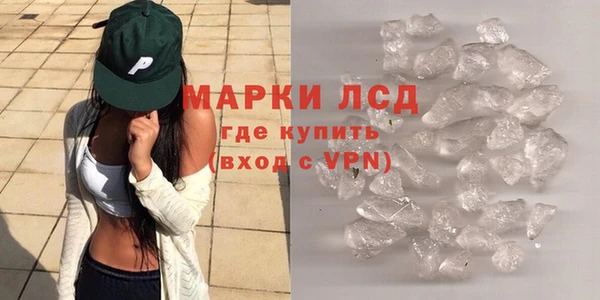 ГАЛЛЮЦИНОГЕННЫЕ ГРИБЫ Каменногорск